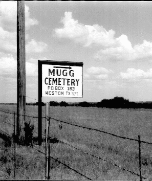 mugg.gif (43984 bytes)